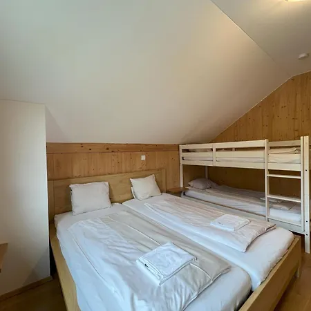 Chalet Am Loser Ramsau am Dachstein